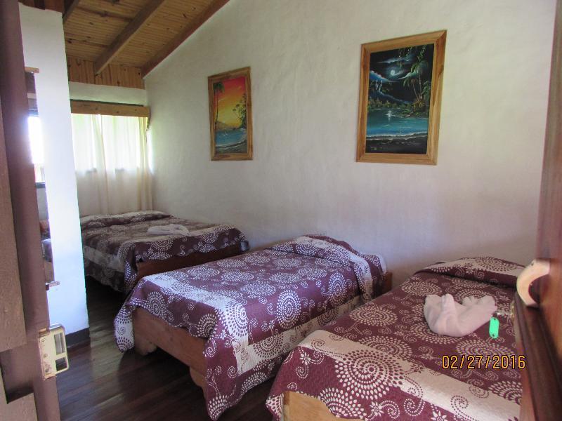 Hostel Villa Verde モンテベルデ エクステリア 写真