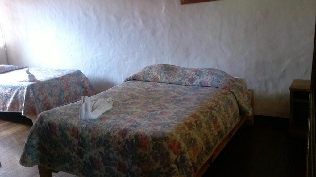 Hostel Villa Verde モンテベルデ エクステリア 写真