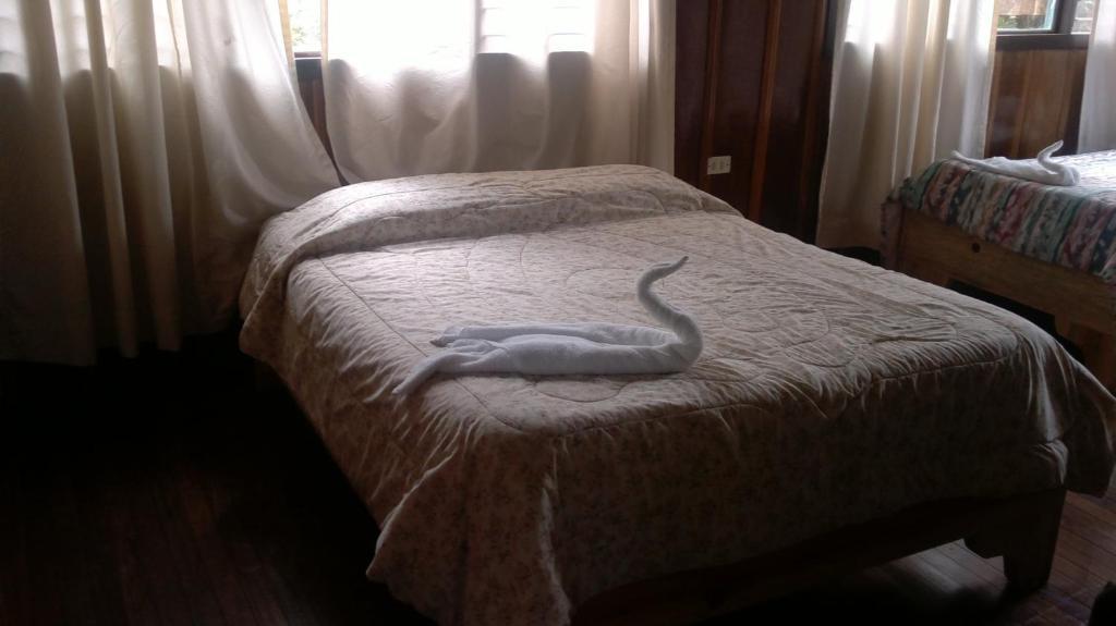 Hostel Villa Verde モンテベルデ エクステリア 写真