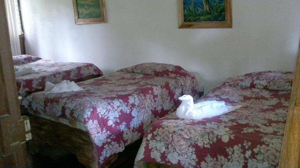 Hostel Villa Verde モンテベルデ エクステリア 写真