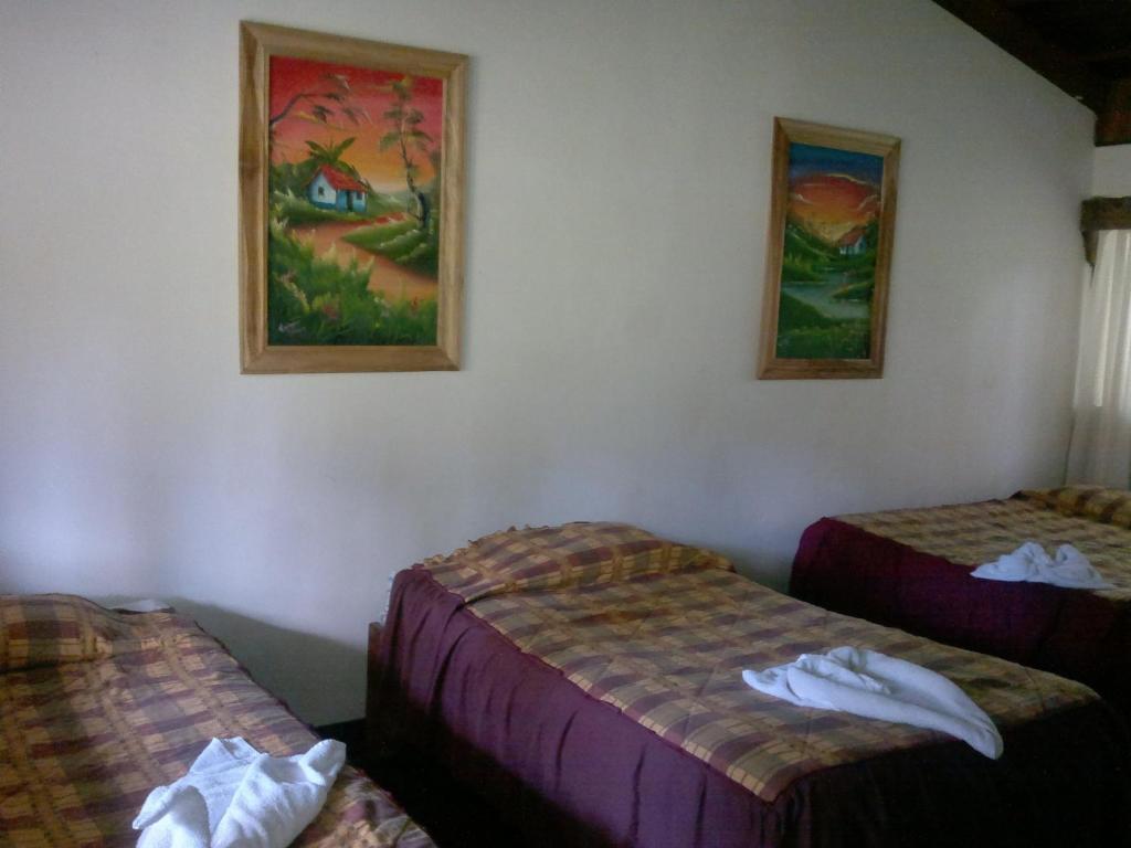 Hostel Villa Verde モンテベルデ エクステリア 写真