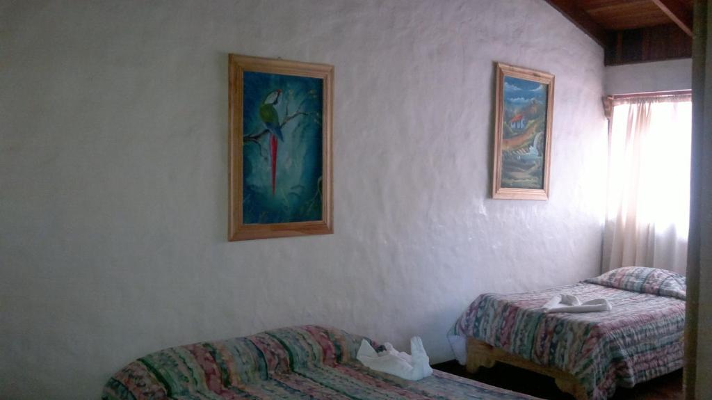 Hostel Villa Verde モンテベルデ エクステリア 写真