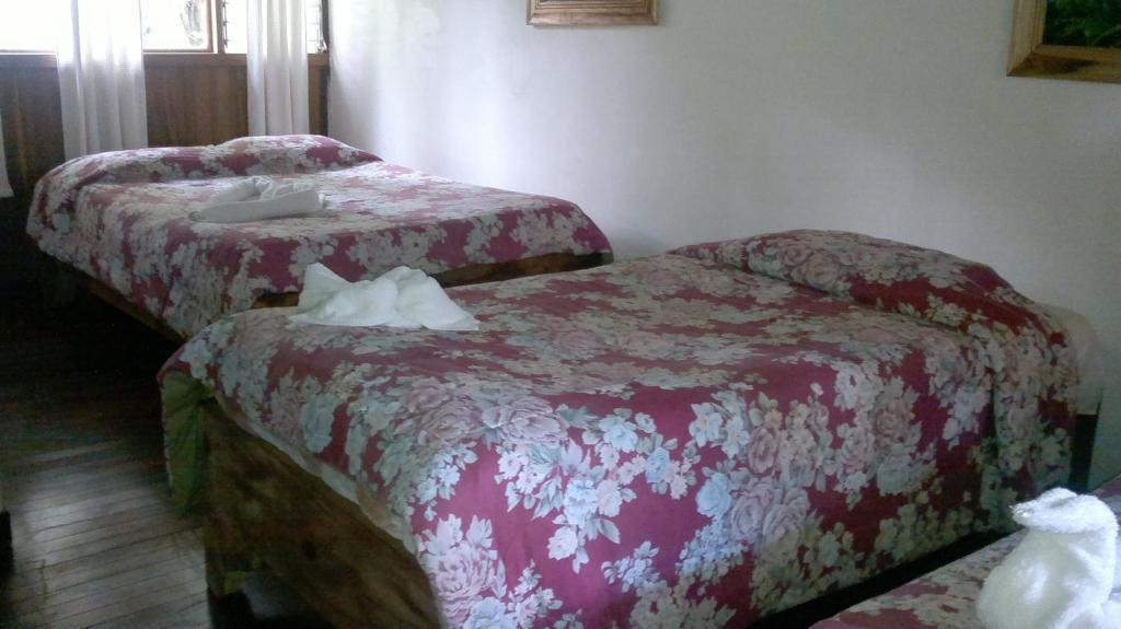 Hostel Villa Verde モンテベルデ エクステリア 写真