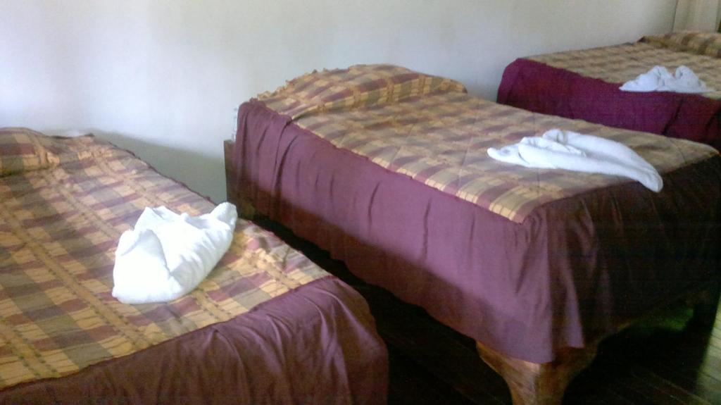 Hostel Villa Verde モンテベルデ エクステリア 写真