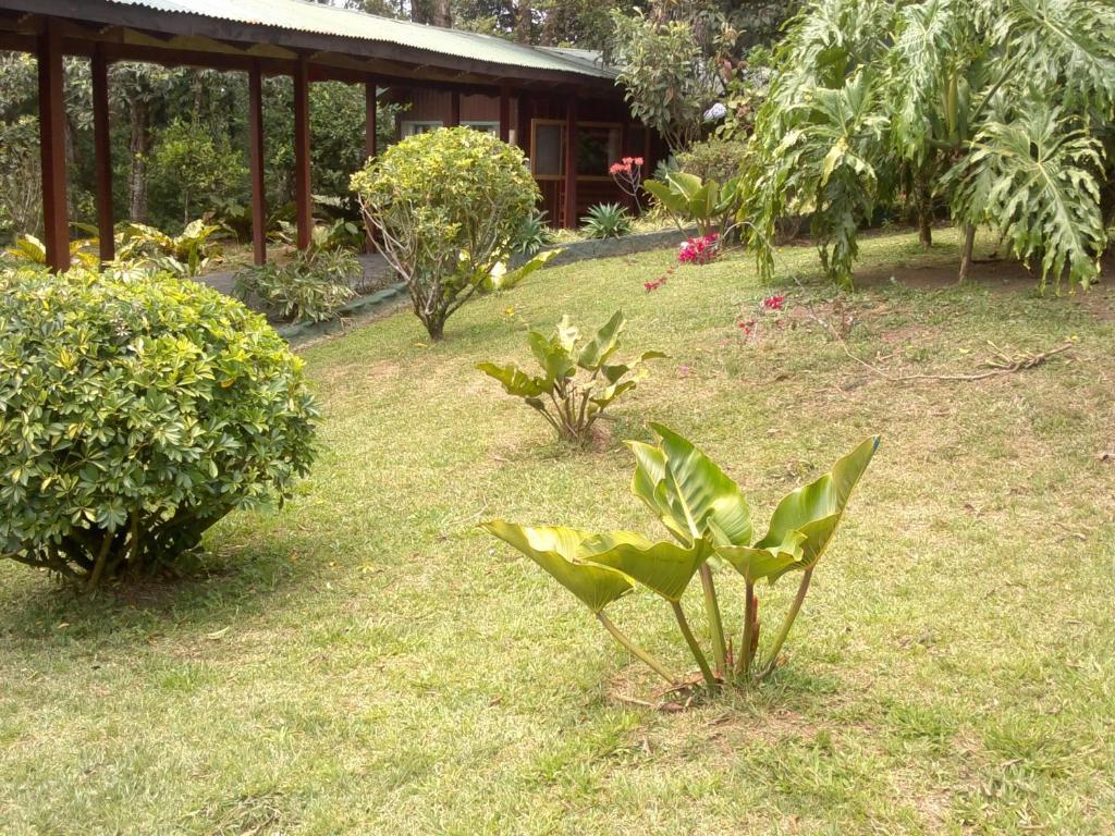 Hostel Villa Verde モンテベルデ エクステリア 写真