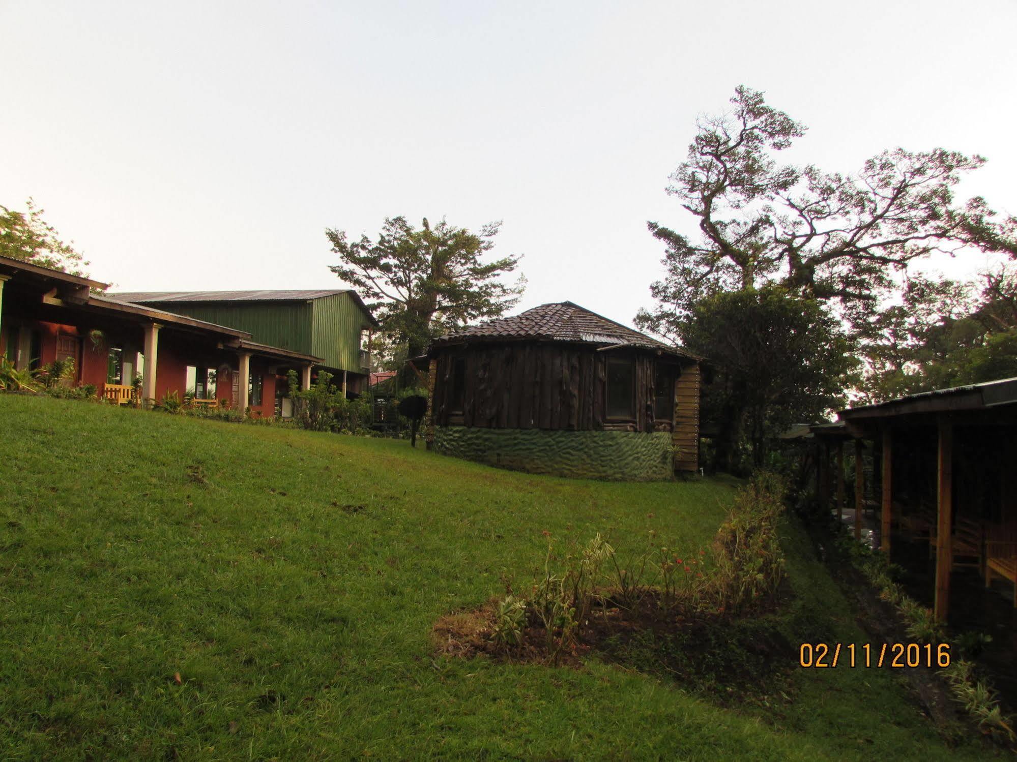 Hostel Villa Verde モンテベルデ エクステリア 写真